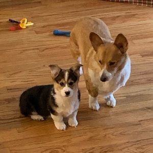 Meet your Posher, Michael